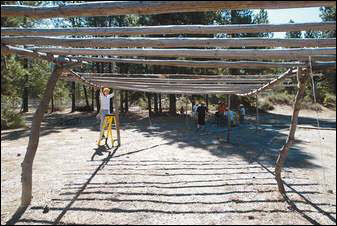 Building an Arbor