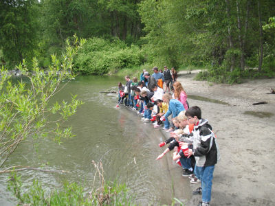 Salmon in the Classroom