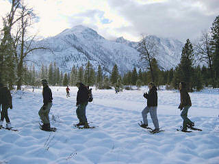Winter Life Snowshoe Tours Winter Life Snowshoe Tours