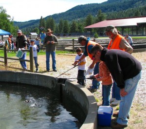 Jumping Trout