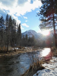 Snowshoe Vista